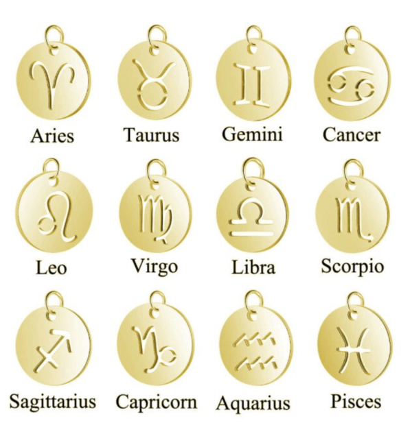 The Stainless Steel Gold Plated Zodiac Charm Necklace - Image 4